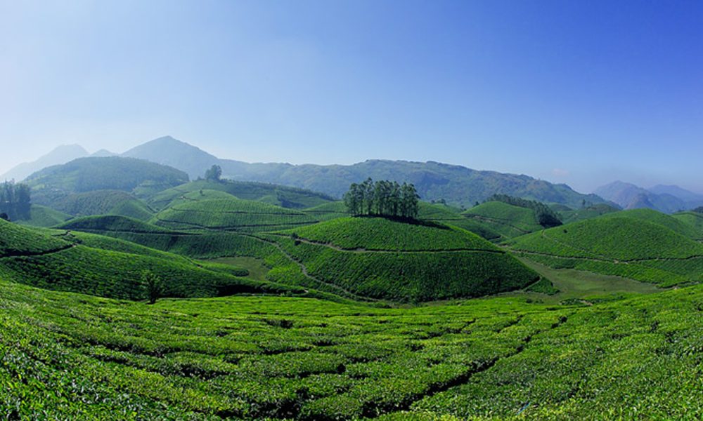 munnar munnar
