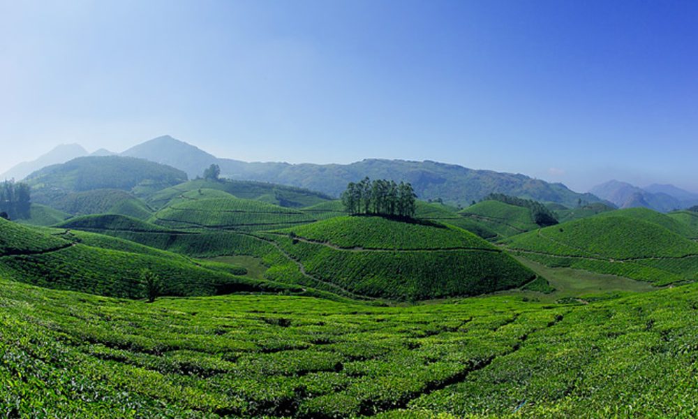 munnar