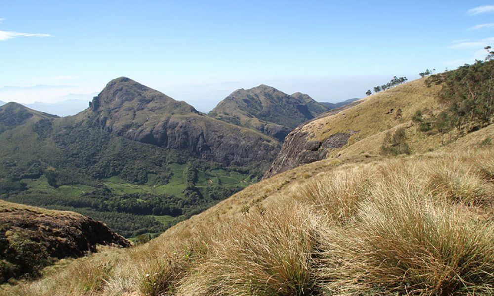 munnar-trekking