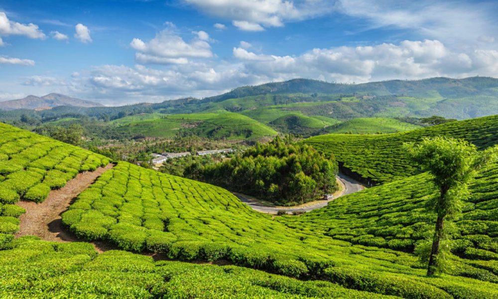 vagamon vagamon